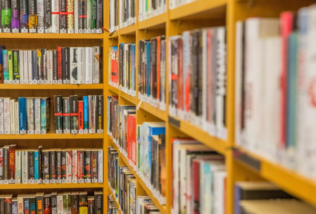 Les livres de New Romance : une lecture agréable qui met l'érotisme et l'imagination en lumière