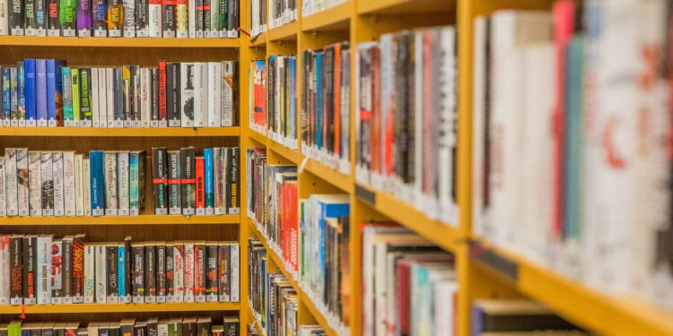 Les livres de New Romance : une lecture agréable qui met l'érotisme et l'imagination en lumière