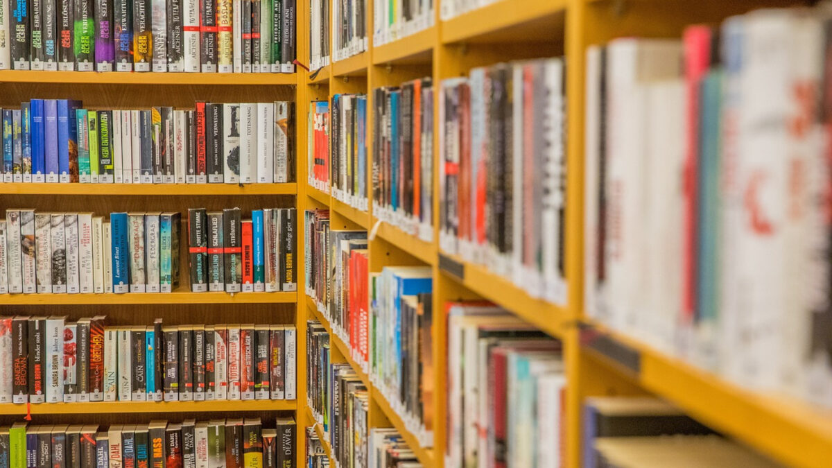 Les livres de New Romance : une lecture agréable qui met l'érotisme et l'imagination en lumière